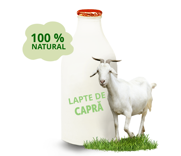 100 la 100 natural