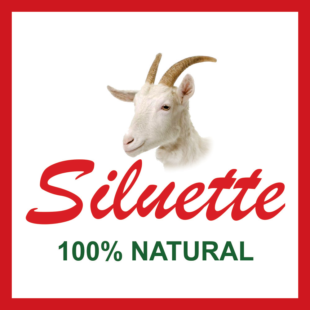 Vanbet Brand Siluette